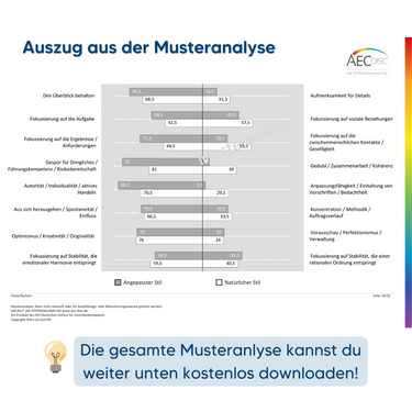 AECdisc® – Potenzialanalyse inkl. Buch